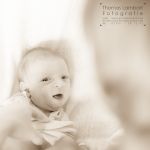 Thomas Lambart Fotografie Böblingen, Baby, Bauch, Porträt, Hochzeiten und vieles mehr