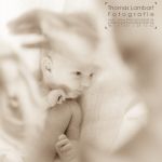 Thomas Lambart Fotografie Böblingen,Sonnen-aufgan Schoenbuch und vieles mehr