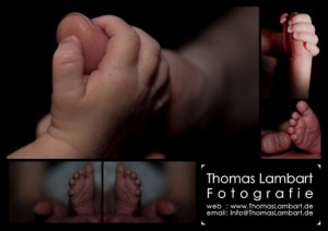 003_ThomasLambart_640