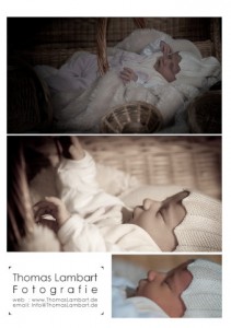 004_ThomasLambart_640 